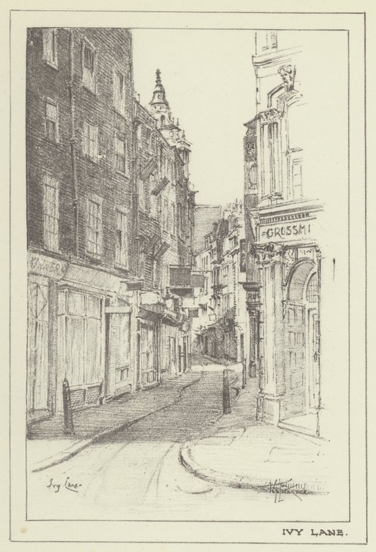 Ivy Lane door Alan Stapleton