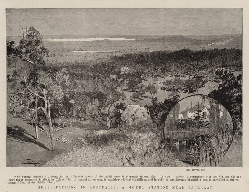 Schapenhouderij in Australië, een modelstation nabij Ballarat door Albert Henry Fullwood