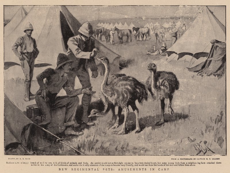 Nieuwe regiment huisdieren, amusementen in het kamp door Alexander Stuart Boyd