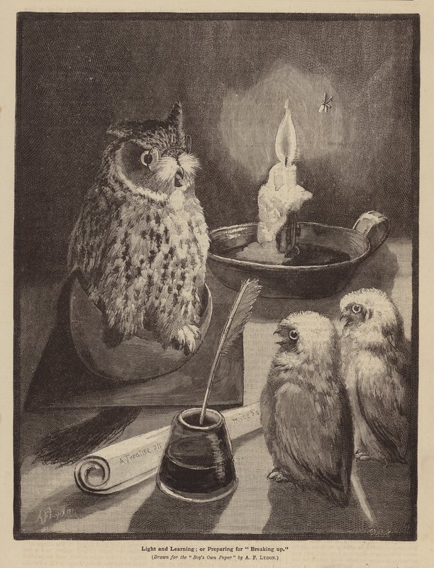 Licht en leren; of, Voorbereiden op het einde van het schooljaar door Alexander Francis (after) Lydon