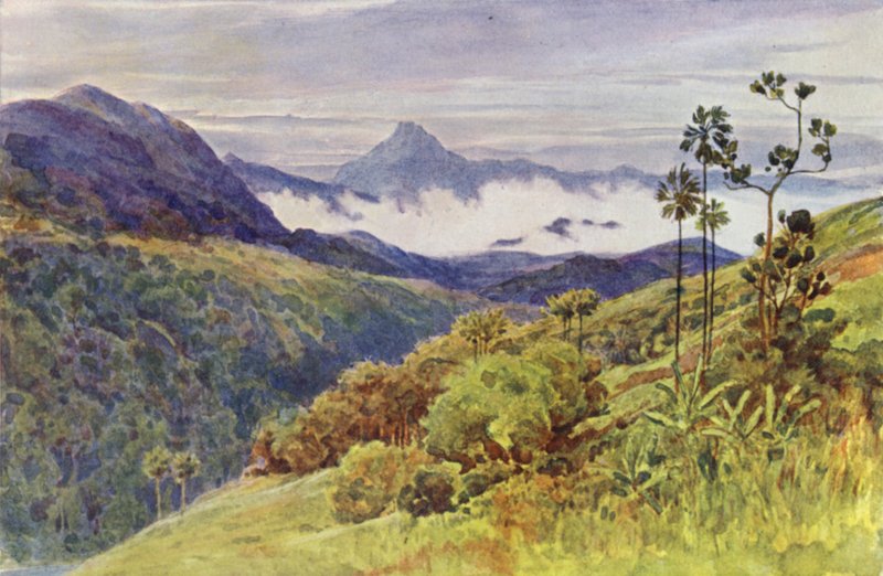 Ochtendnevels in de vallei van de Mahawelli Gangha door Alexander Henry Hallam Murray