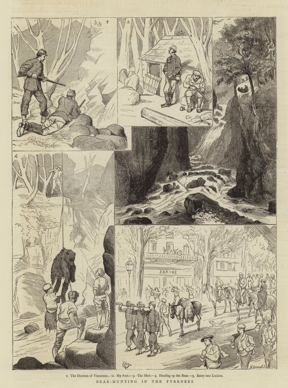 Berenjacht in de Pyreneeën door Alfred Chantrey Corbould