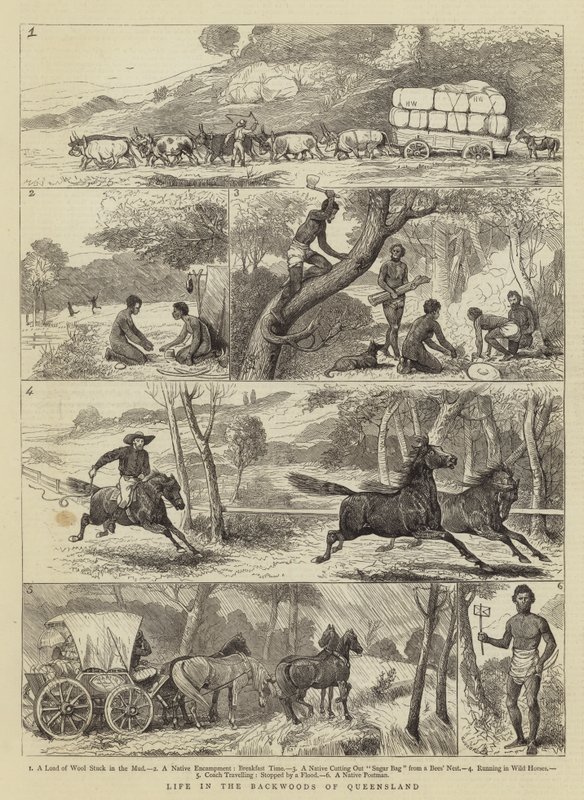 Leven in de binnenlanden van Queensland door Alfred Chantrey Corbould