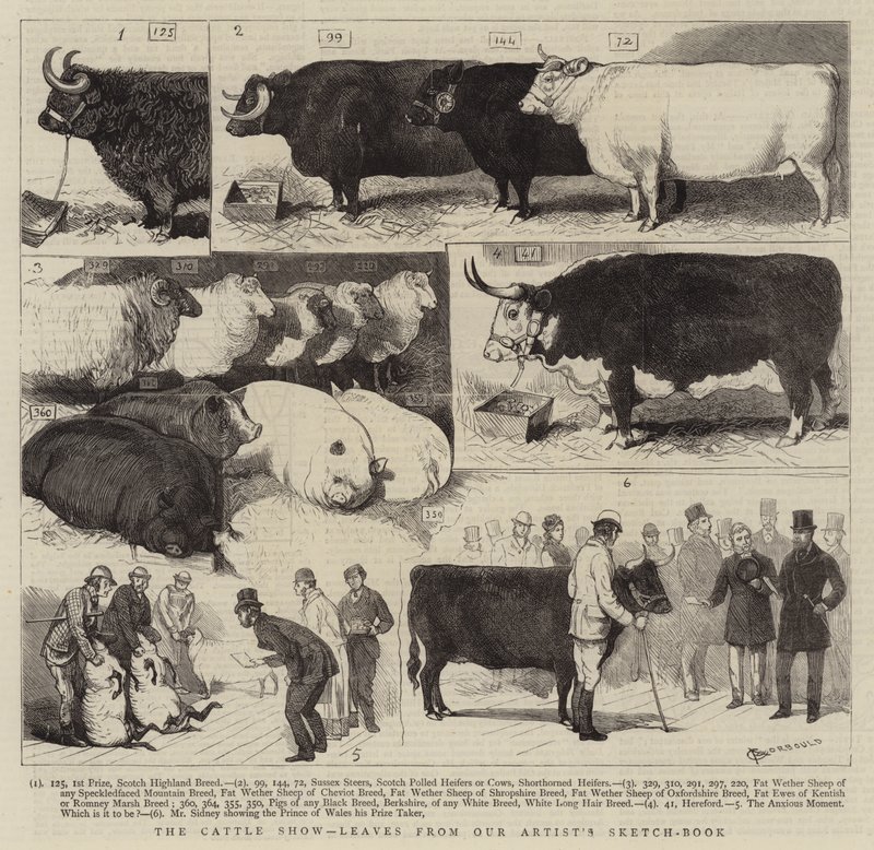 De veeshow, bladeren uit het schetsboek van onze kunstenaar door Alfred Chantrey Corbould