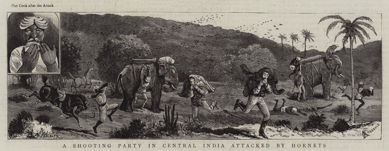 Een Jachtpartij in Centraal India aangevallen door Horzels door Alfred Chantrey Corbould