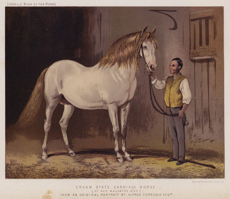 Crème staatskoetspaard, van de stoeterij van Hare Majesteit door Alfred Chantrey Corbould