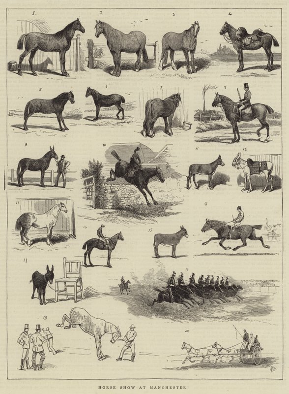 Paardenshow in Manchester door Alfred Chantrey Corbould