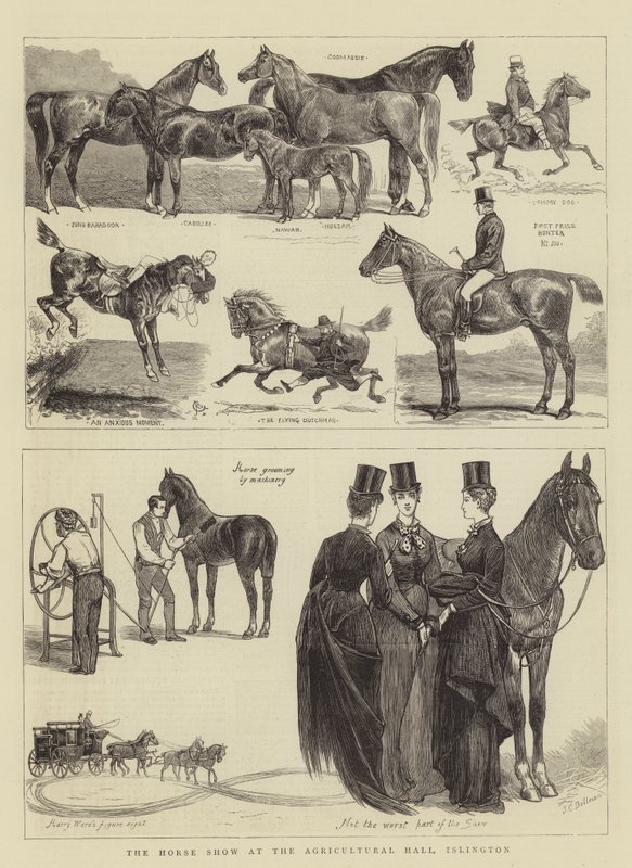 De Paardenshow in de Agricultural Hall, Islington door Alfred Chantrey Corbould