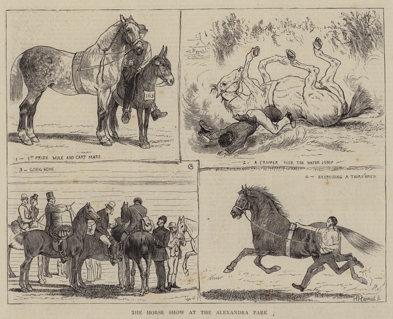 De Paardenshow in het Alexandra Park door Alfred Chantrey Corbould