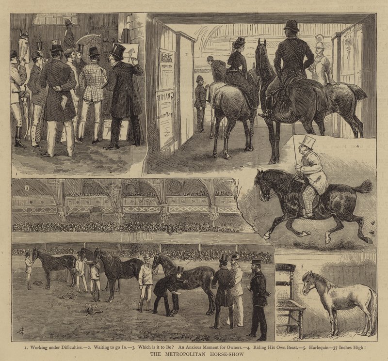 De Metropolitan Horse-Show door Alfred Chantrey Corbould