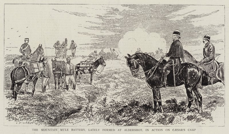 De bergmulebatterij, onlangs gevormd in Aldershot, in actie op Caesar