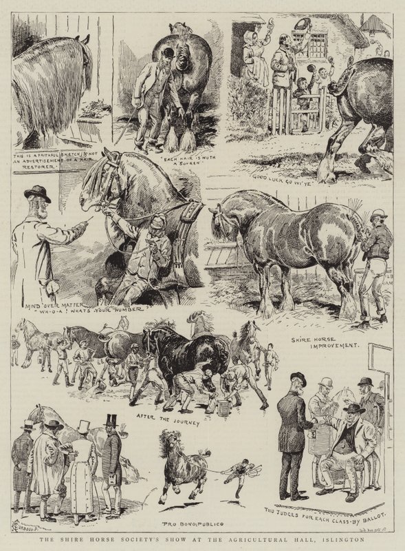 De show van de Shire Horse Society in de Agricultural Hall, Islington door Alfred Chantrey Corbould
