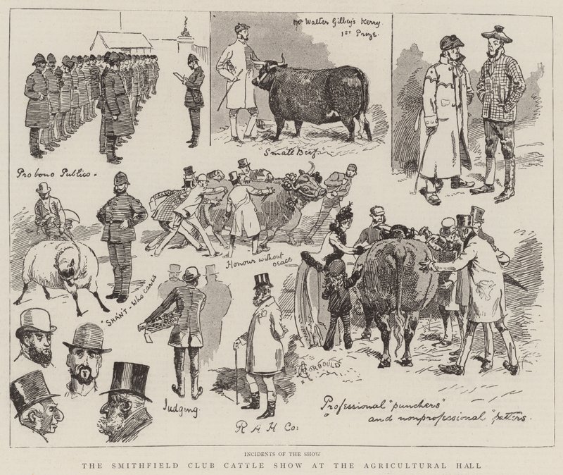 De Smithfield Club Vee Show in de Agricultural Hall door Alfred Chantrey Corbould