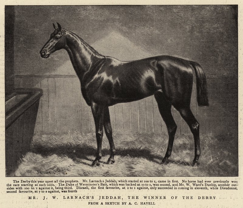 De heer J W Larnachs Jeddah, de winnaar van de Derby door Alfred Charles Havell