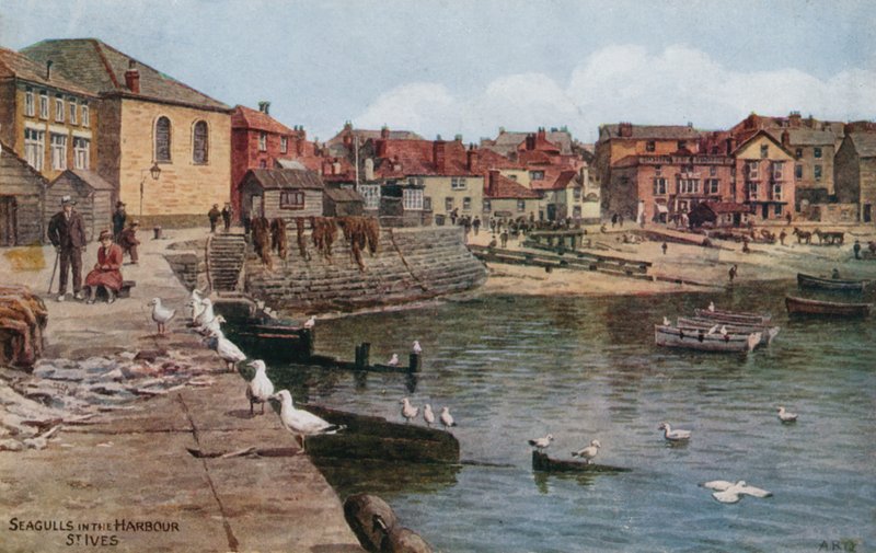 Meeuwen in de haven, St Ives, Cornwall door Alfred Robert Quinton