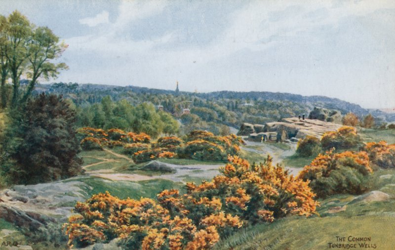 The Common, Tunbridge Wells door Alfred Robert Quinton