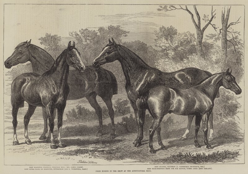 Prijswinnaars op de landbouwtentoonstelling door Alfred Sheldon Williams