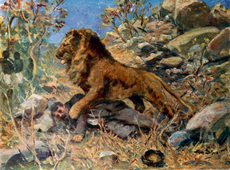 David Livingstone, Livingstone en de leeuw door Allan (after) Stewart