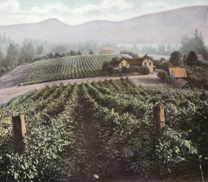 Oregon: Diversificatie Landbouw in Willamette Valley door American Photographer (after)