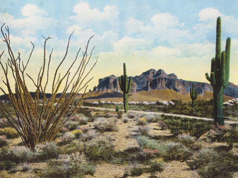 Superstition Mountain en woestijn, "Apache Trail" (kleurenfoto) door American Photographer