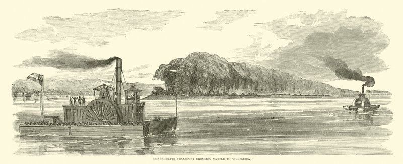 Geconfedereerd transport dat vee naar Vicksburg brengt, februari 1863 door American School