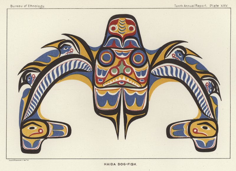 Haida Hondvis door American School