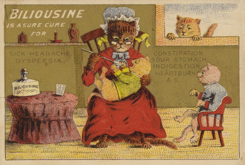 Medicijntijd voor de katten door American School