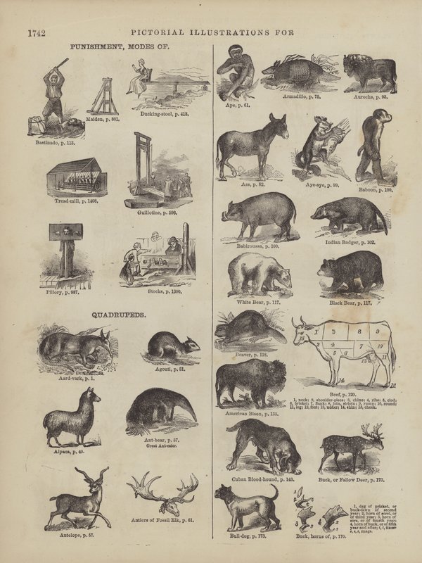 Pagina uit Websters Complete woordenboek (George Bell door American School