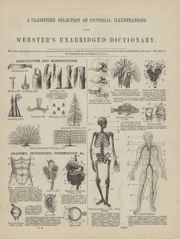 Pagina uit Webster