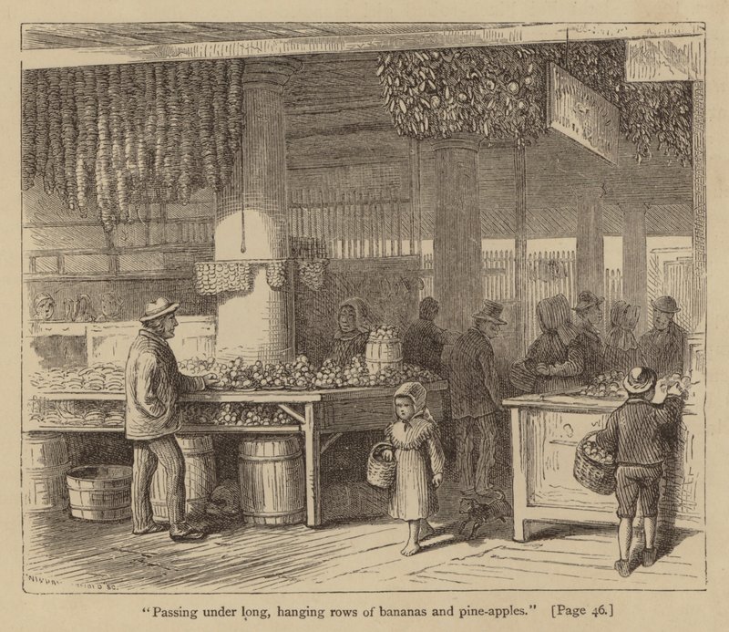 "Passerend onder lange, hangende rijen bananen en ananas" (gravure) door American School