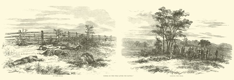 Scènes op het veld na de slag, september 1862 door American School