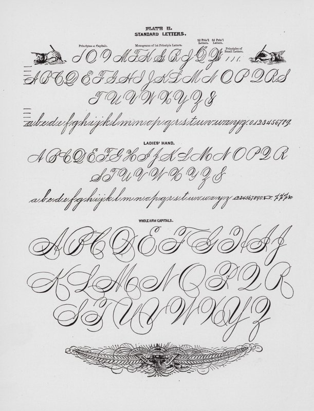 Standaardletters; Dameshand; Hele Arm Hoofdletters (gravure) door American School