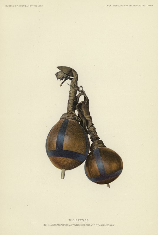 De rammelaars (kleurenlitho) door American School