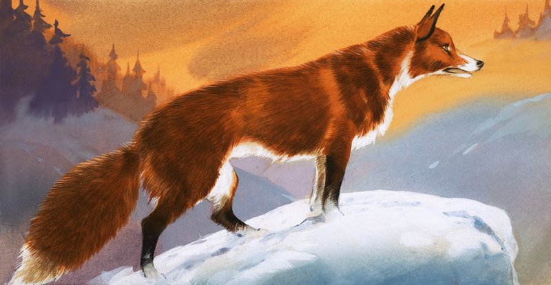 Vos in de sneeuw door Angus McBride