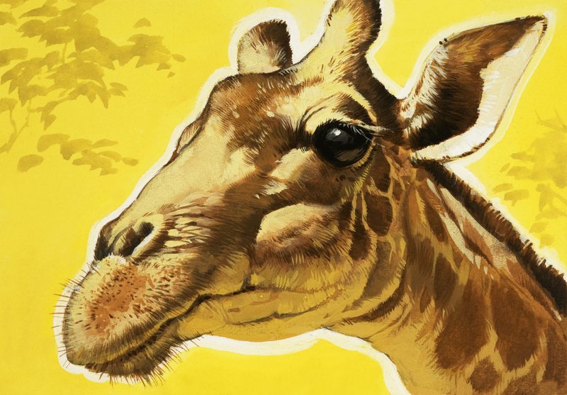 Giraffekop door Angus McBride