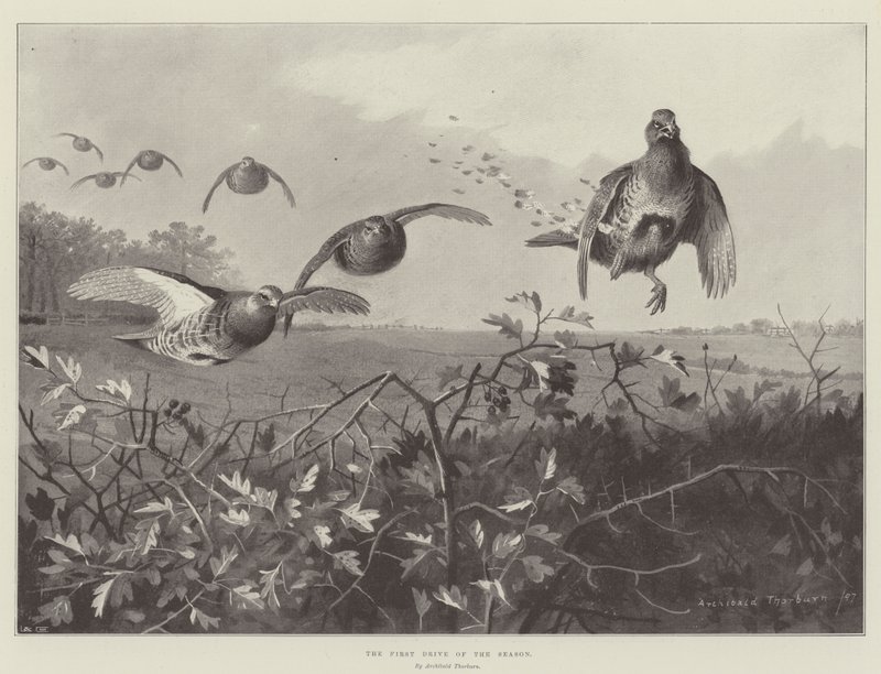 De eerste rit van het seizoen door Archibald Thorburn