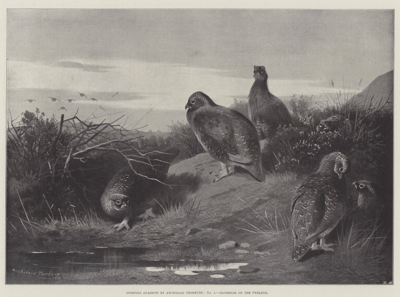 Sportonderwerpen, Dageraad op de twaalfde door Archibald Thorburn
