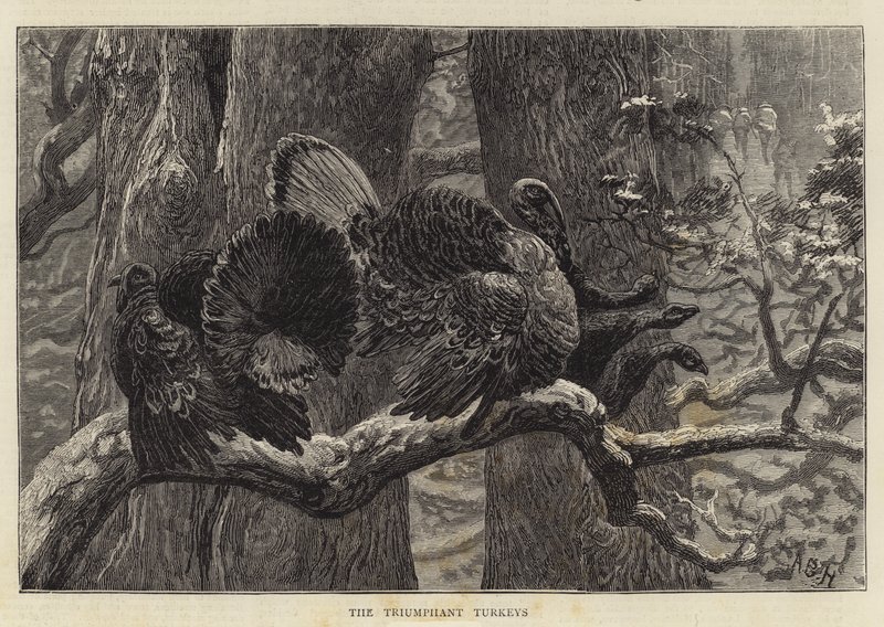 De Triomfantelijke Kalkoenen door Arthur Boyd Houghton