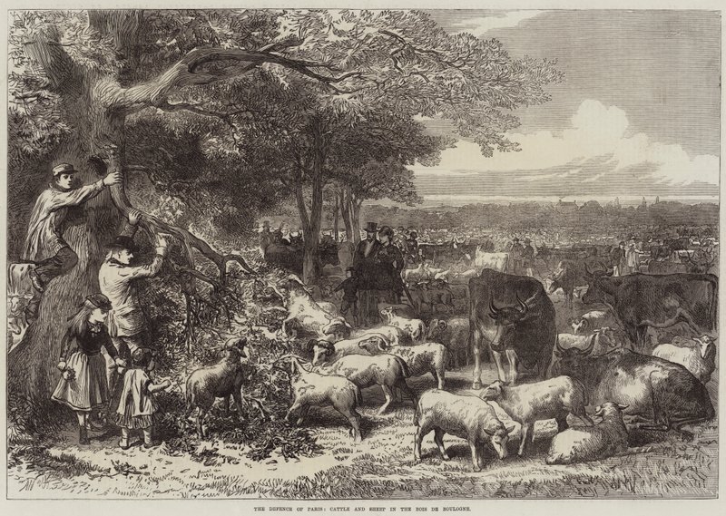De verdediging van Parijs, vee en schapen in het Bois de Boulogne door Arthur Hopkins