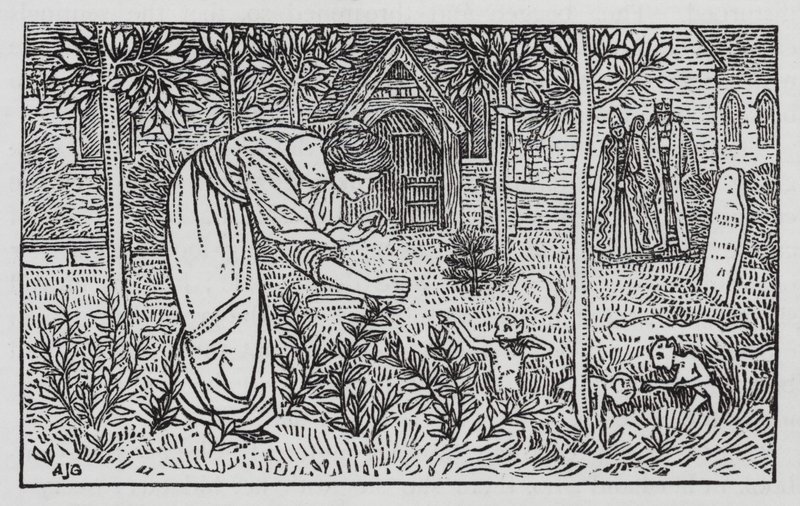 Hans Christian Andersen: De Wilde Zwanen door Arthur Joseph Gaskin