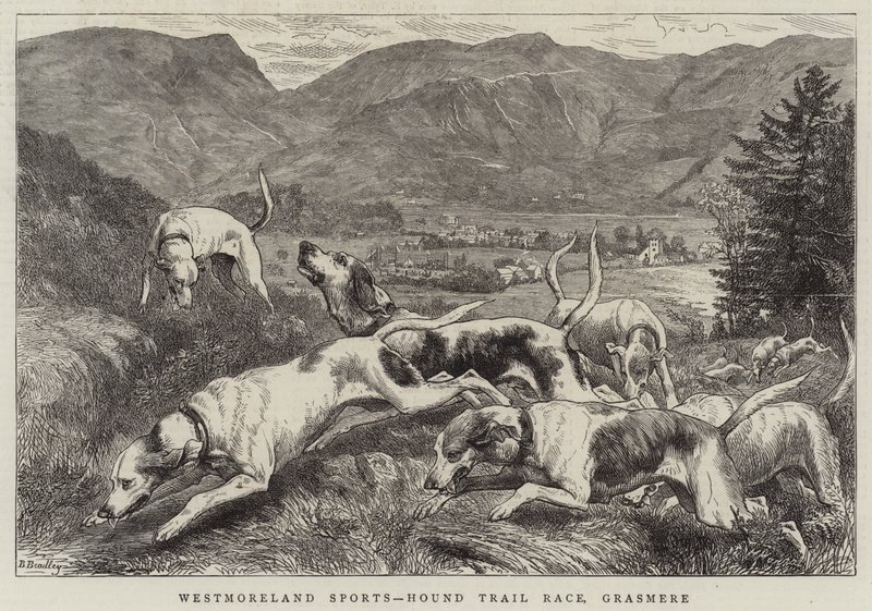 Westmoreland Sports, Hound Trial Race, Grasmere door Basil Bradley