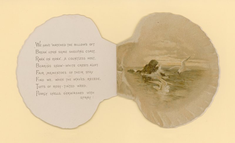 Illustratie voor boekje getiteld Zeeschelpen (kleur litho) door Benjamin D. Sigmund