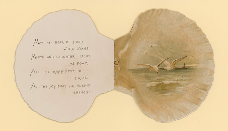 Illustratie voor boekje getiteld Zeeschelpen door Benjamin D. Sigmund