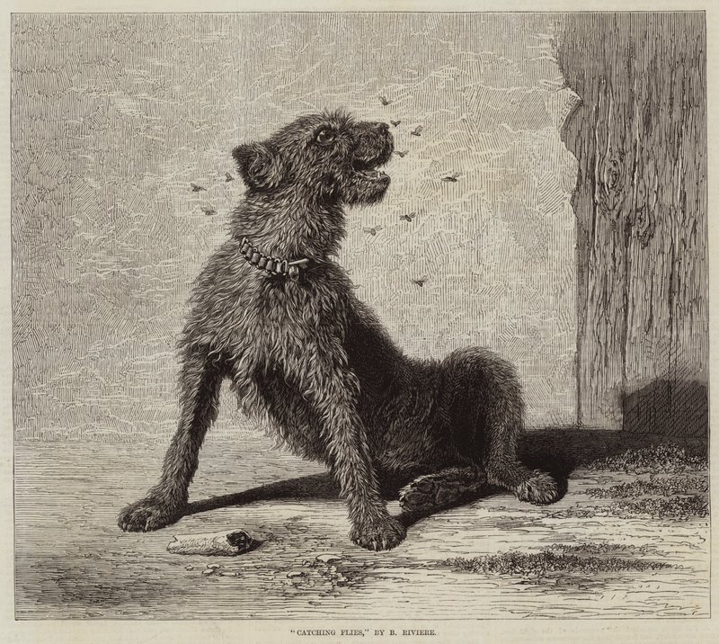 Vliegen Vangen door Briton Riviere