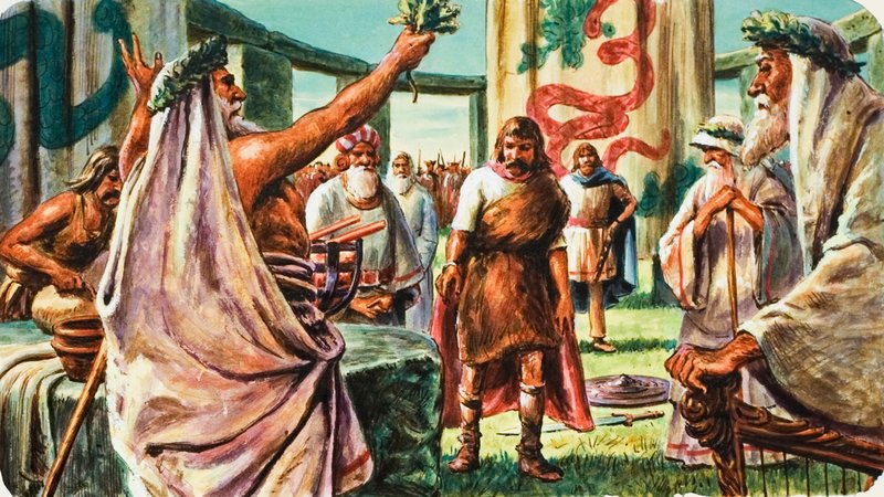 Druids door C.L. Doughty
