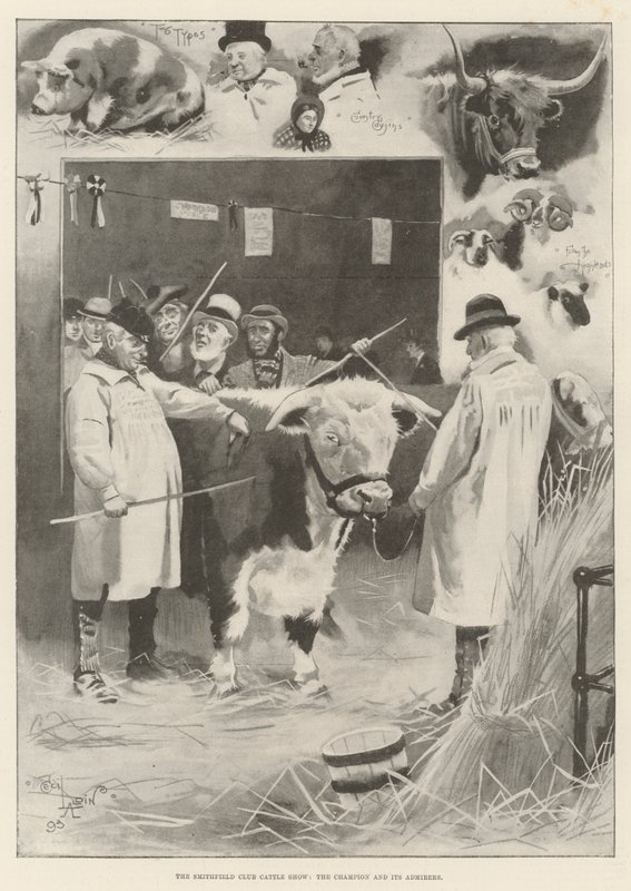 De Smithfield Club Vee Show, de kampioen en zijn bewonderaars door Cecil Charles Windsor Aldin