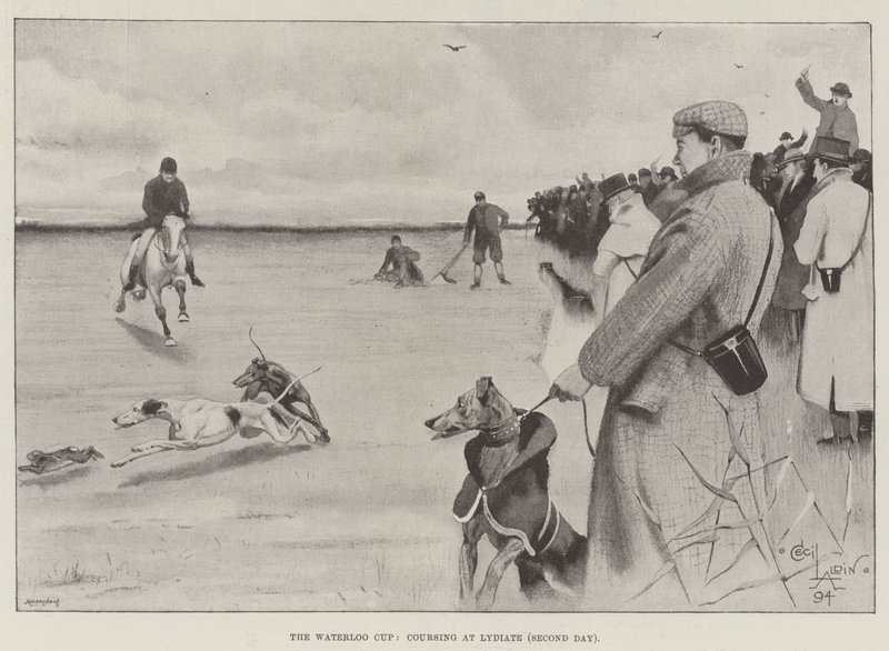 De Waterloo Cup, coursing in Lydiate, tweede dag door Cecil Charles Windsor Aldin