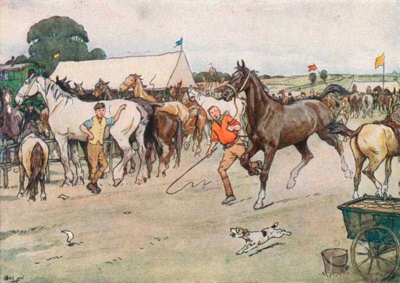 Een Paardenmarkt... 