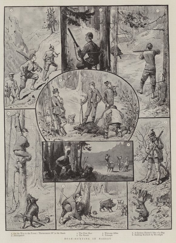Zwijnenjacht in Nassau door Charles Edwin Fripp