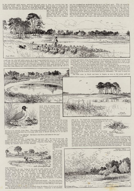 Norfolk-hoekjes door Charles J. Staniland